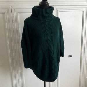 Express Turtleneck Sweater